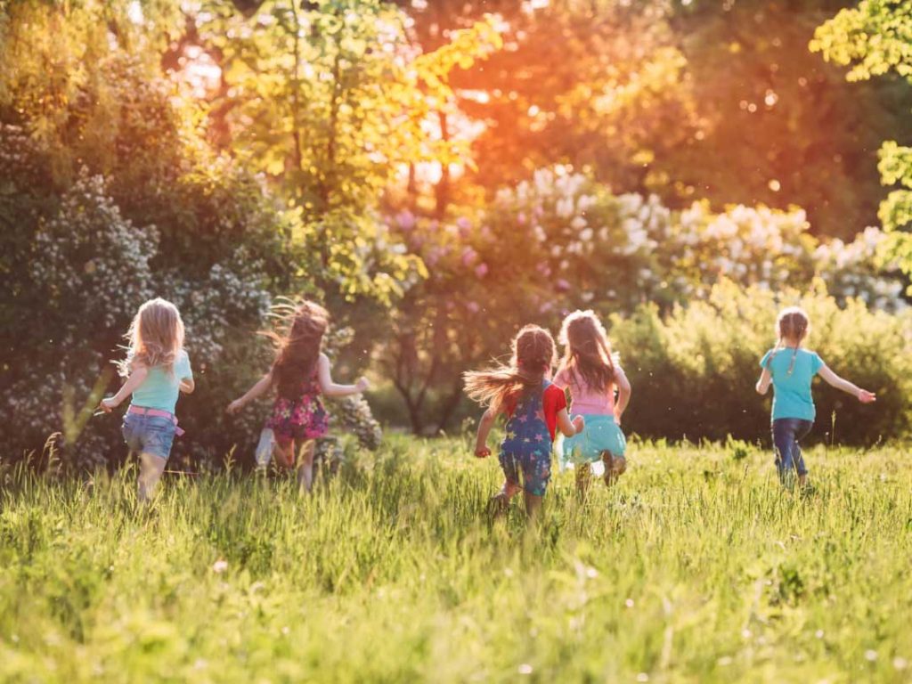 kindergarten, Blumenwiese, Kita-Rastenberg, Natur, Wald