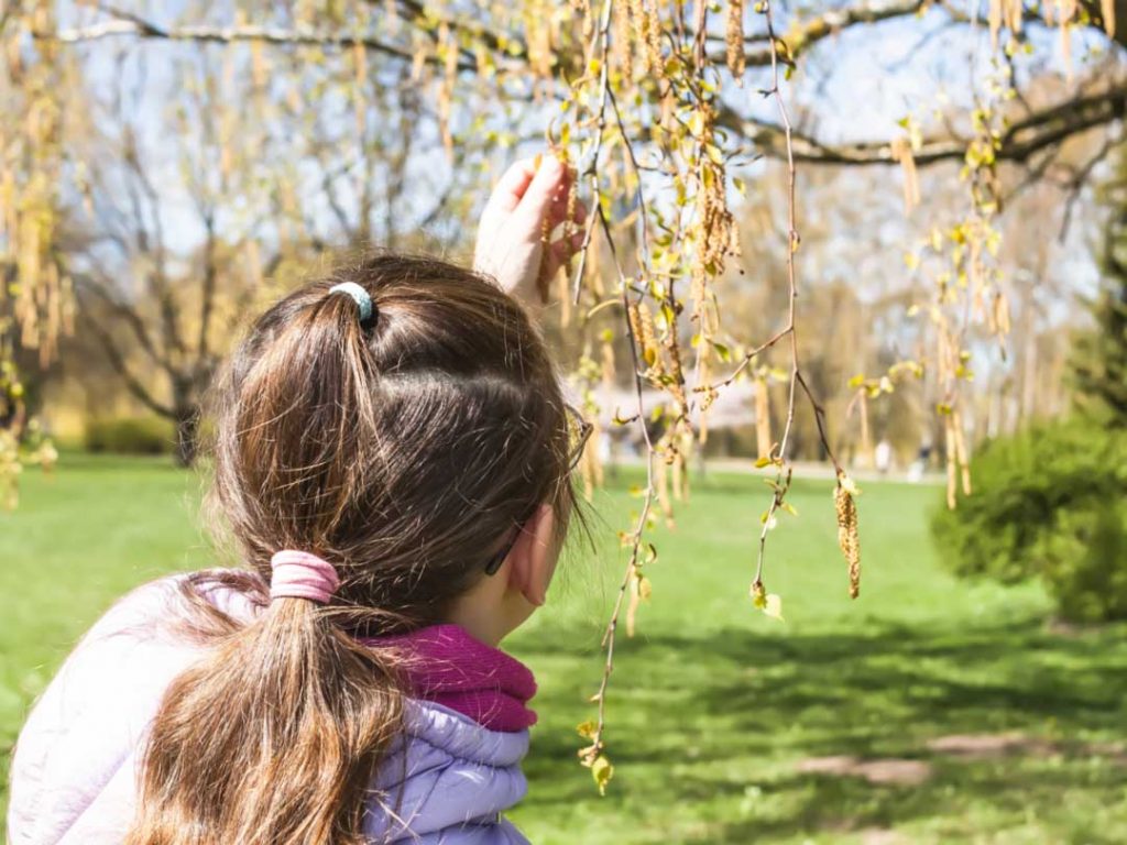kindergarten, Blumenwiese, Kita-Rastenberg, Natur, Wald