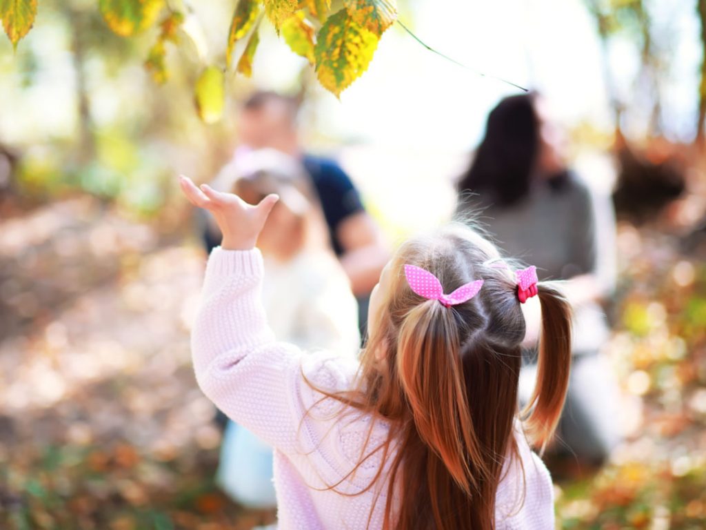 kindergarten, Blumenwiese, Kita-Rastenberg, Natur, Wald