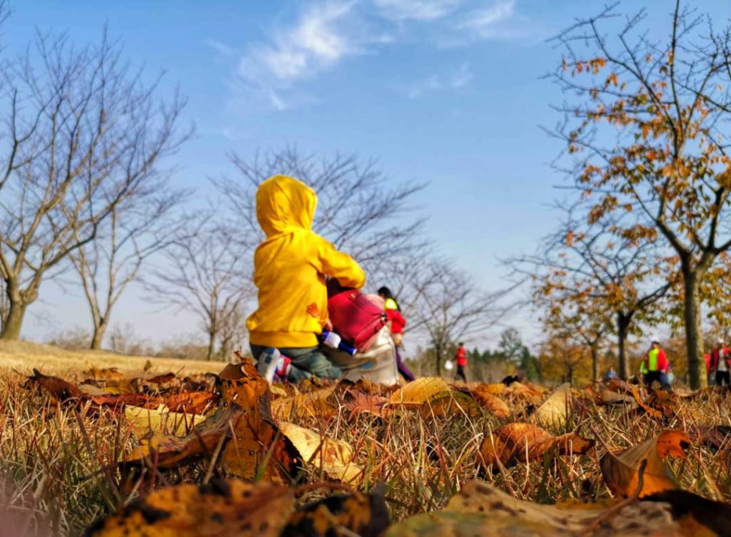 kindergarten, Blumenwiese, Kita-Rastenberg, Natur, Wald