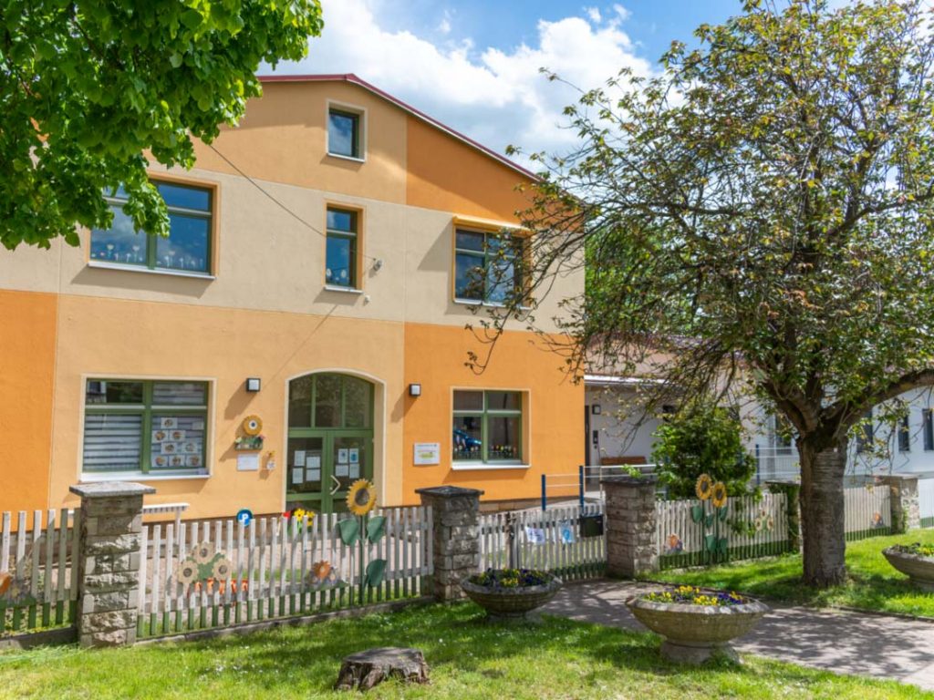 kindergarten, Blumenwiese, Kita-Rastenberg, Natur, Wald