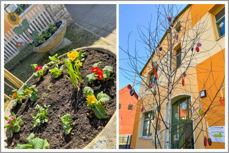 Rastenberg, Kita, Blumenwiese