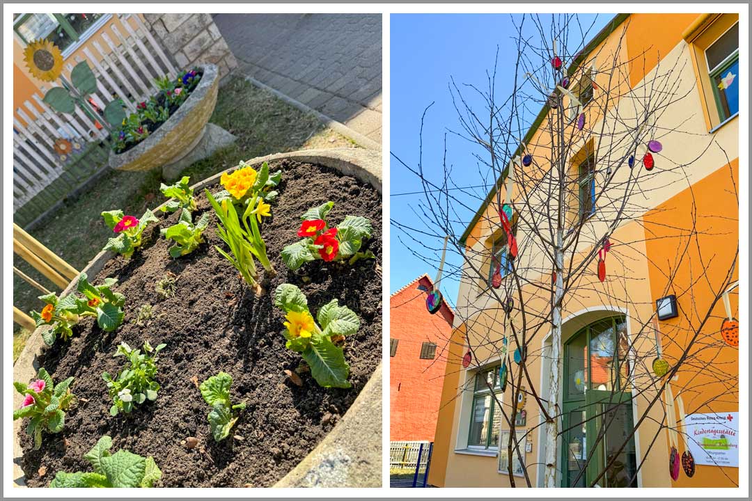 Rastenberg, Kita, Blumenwiese