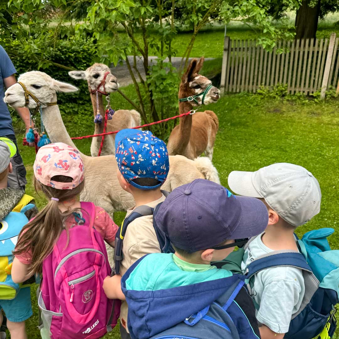 Alpaka-Kita-Rastenberg-Kindergarten