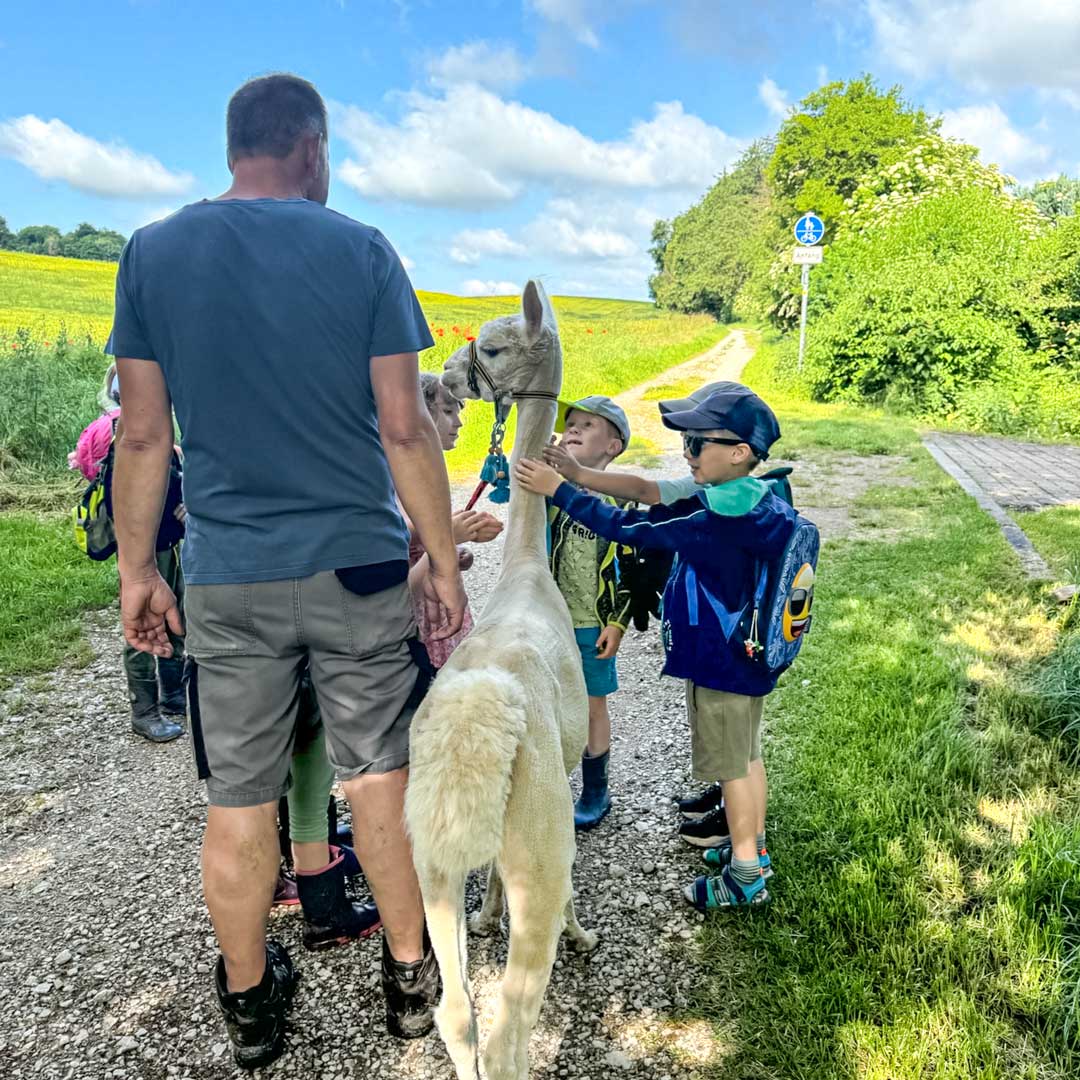 Alpaka-Kita-Rastenberg Alpaka-Kita-Rastenberg_Kindergarten