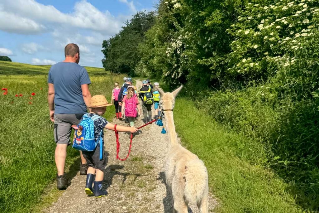 Alpaka-Kita-Rastenberg_Kindergarten